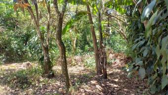 Se vende amplia propiedad con 2,254m2 en Tambor Alajuela 25-1768