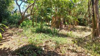 Se vende amplia propiedad con 2,254m2 en Tambor Alajuela 25-1768