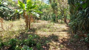 Se vende amplia propiedad con 2,254m2 en Tambor Alajuela 25-1768