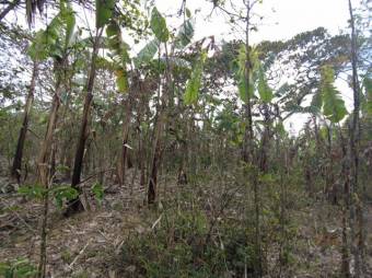 Se vende amplio lote de 6,800m2 en San Luis de Heredia 23-3201