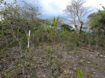 Se vende amplio lote de 6,800m2 en San Luis de Heredia 23-3201