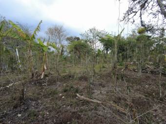 Se vende amplio lote de 6,800m2 en San Luis de Heredia 23-3201