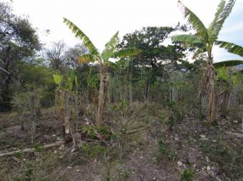 Se vende amplio lote de 6,800m2 en San Luis de Heredia 23-3201