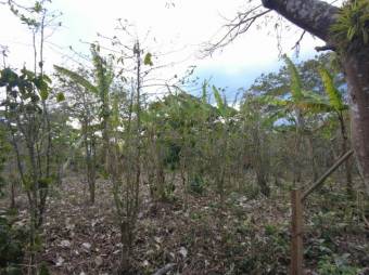 Se vende amplio lote de 6,800m2 en San Luis de Heredia 23-3201