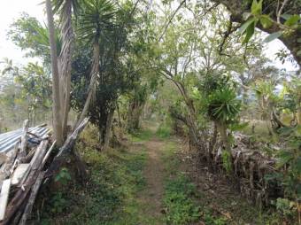 Se vende amplio lote de 6,800m2 en San Luis de Heredia 23-3201