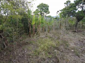 Se vende amplio lote de 6,800m2 en San Luis de Heredia 23-3201