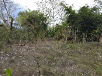 Se vende amplio lote de 6,800m2 en San Luis de Heredia 23-3201