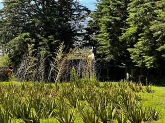 Se vende amplia finca de 8,400m2 en Concepción de San Isidro 25-1759