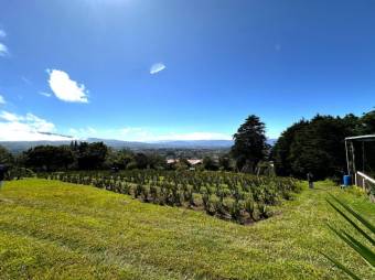 Se vende amplia finca de 8,400m2 en Concepción de San Isidro 25-1759