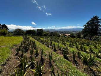 Se vende amplia finca de 8,400m2 en Concepción de San Isidro 25-1759