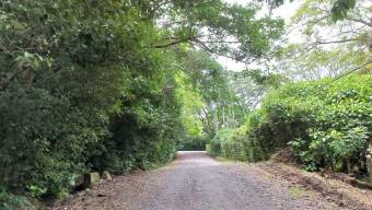 Se vende propiedad de 5,300m2 de lote en La Garita Alajuela 25-1298