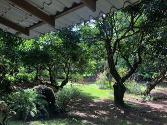 Se vende propiedad de 5,300m2 de lote en La Garita Alajuela 25-1298