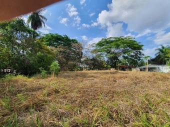 Se vende amplio lote de 1.5 hectáreas en Orotina Alajuela 25-1298
