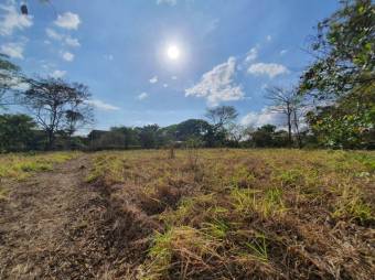 Se vende amplio lote de 1.5 hectáreas en Orotina Alajuela 25-1298