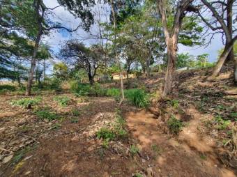 Se vende amplio lote de 1.5 hectáreas en Orotina Alajuela 25-1298