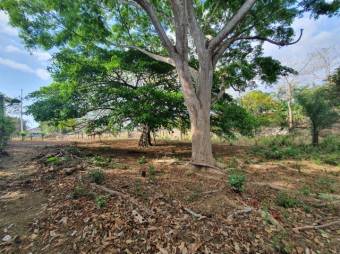 Se vende amplio lote de 1.5 hectáreas en Orotina Alajuela 25-1298