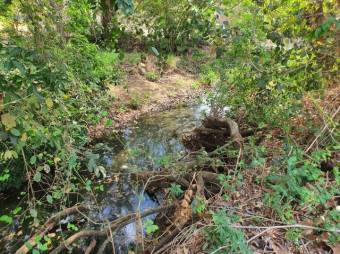 Se vende amplio lote de 1.5 hectáreas en Orotina Alajuela 25-1298