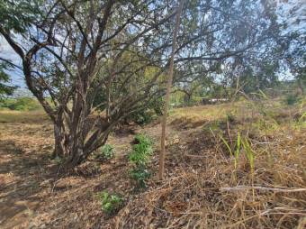 Se vende amplio lote de 1.5 hectáreas en Orotina Alajuela 25-1298