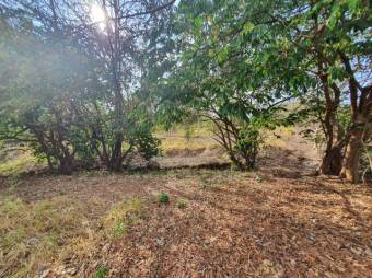 Se vende amplio lote de 1.5 hectáreas en Orotina Alajuela 25-1298