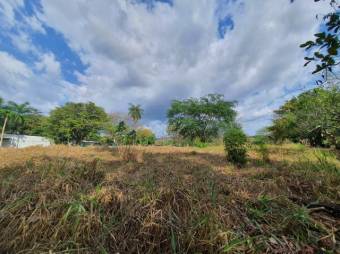 Se vende amplio lote de 1.5 hectáreas en Orotina Alajuela 25-1298