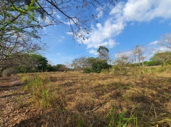 Se vende amplio lote de 1.5 hectáreas en Orotina Alajuela 25-1298