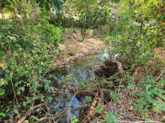 Se vende amplio lote de 1.5 hectáreas en Orotina Alajuela 25-1298