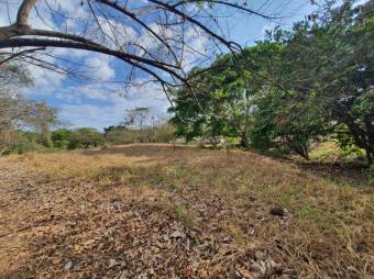 Se vende amplio lote de 1.5 hectáreas en Orotina Alajuela 25-1298