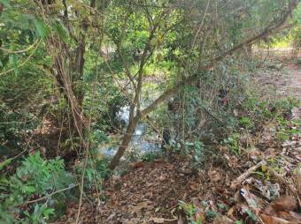 Se vende amplio lote de 1.5 hectáreas en Orotina Alajuela 25-1298