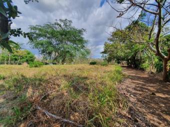 Se vende amplio lote de 1.5 hectáreas en Orotina Alajuela 25-1298