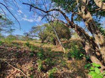 Se vende amplio lote de 1.5 hectáreas en Orotina Alajuela 25-1298