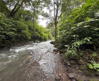 Mixed-use property for sale in Tacares de Grecia. Well-foreclosed bank transfer.