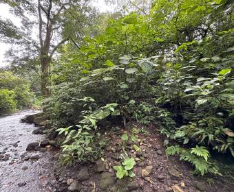 Mixed-use property for sale in Tacares de Grecia. Well-foreclosed bank transfer.