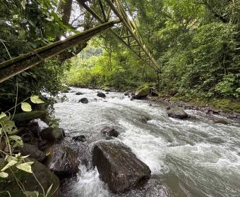 Mixed-use property for sale in Tacares de Grecia. Well-foreclosed bank transfer.