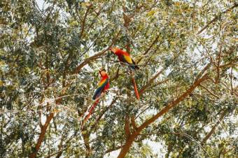 MLS-26-30 LS VENTA LOTE OROTINA ALAJUELA