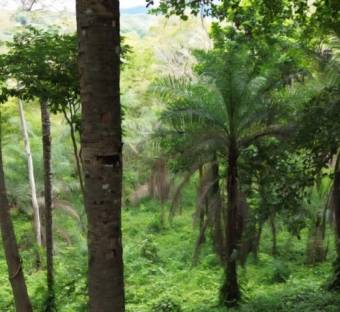 MLS-26-30 LS VENTA LOTE OROTINA ALAJUELA