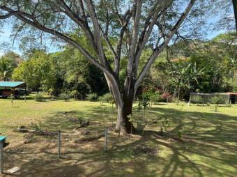 Se vende amplia finca de 2.4 hectáreas en Concepción de Heredia 25-1225