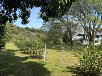 Se vende amplia finca de 2.4 hectáreas en Concepción de Heredia 25-1225