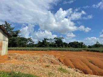 Se vende amplia finca de 8.8 hectáreas en Cureña de Heredia 26-173 