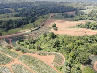 Se vende amplia finca de 8.8 hectáreas en Cureña de Heredia 26-173 