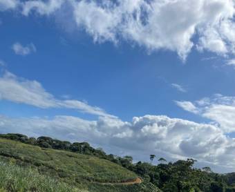 Se vende amplia finca de 8.8 hectáreas en Cureña de Heredia 26-173 