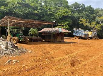 Se vende amplia finca de 8.8 hectáreas en Cureña de Heredia 26-173 