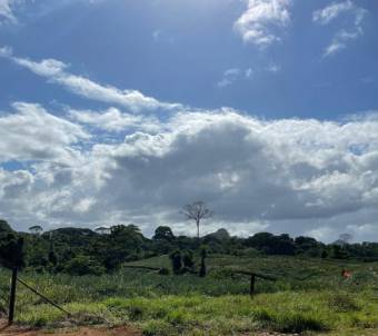 Se vende amplia finca de 8.8 hectáreas en Cureña de Heredia 26-173 