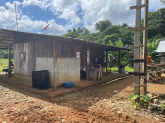 Se vende amplia finca de 8.8 hectáreas en Cureña de Heredia 26-173 