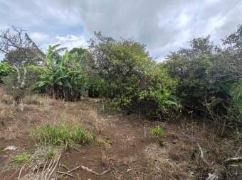 Se vende amplio lote de 3,800m2 en Concepción de Heredia 25-402