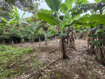 Se vende amplio lote de 3,800m2 en Concepción de Heredia 25-402