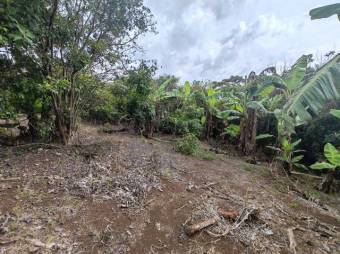 Se vende amplio lote de 3,800m2 en Concepción de Heredia 25-402