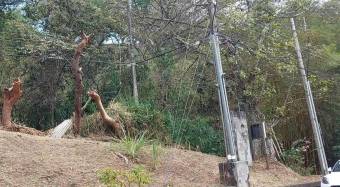 Se vende amplio lote de 6,700m2 en Santa Ana 25-829