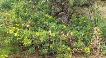 Se vende amplio lote de 6,700m2 en Santa Ana 25-829