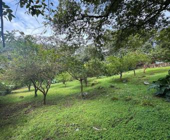 5.000 m2 lot for sale in Villas del Arroyo gated community 5.000 m2 lot for sale in Villas del Arroyo gated community