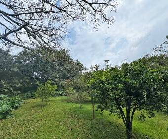 5.000 m2 lot for sale in Villas del Arroyo gated community 5.000 m2 lot for sale in Villas del Arroyo gated community